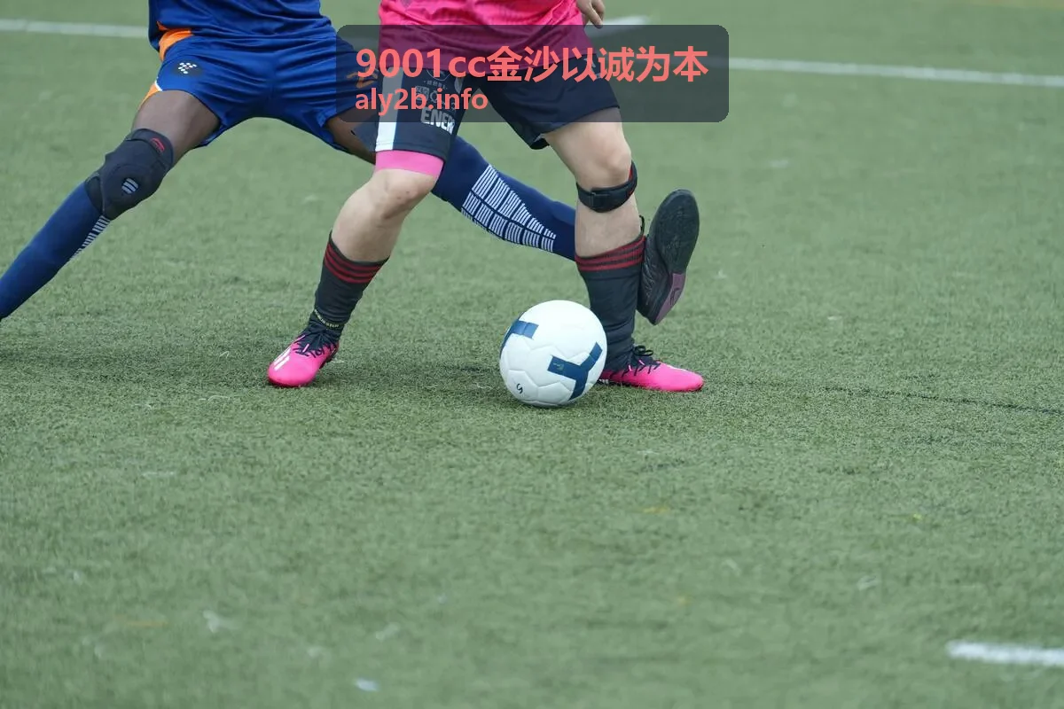 连锁零售供应链协同9001cc金沙以诚为本